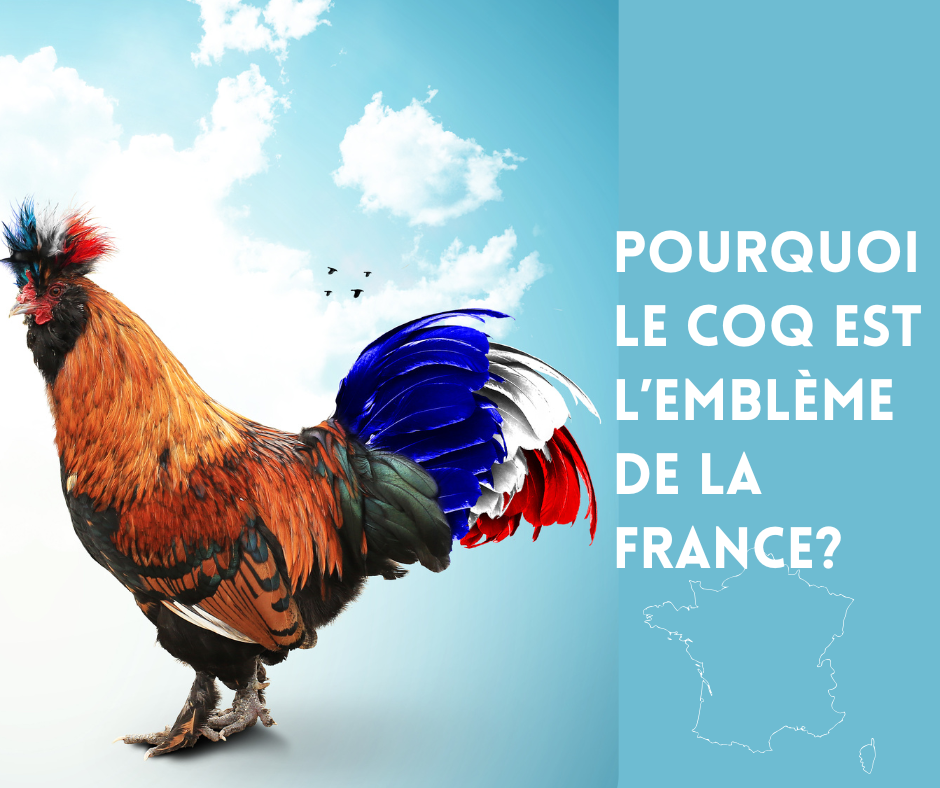 Pourquoi le coq est-il l’emblème de la France ?